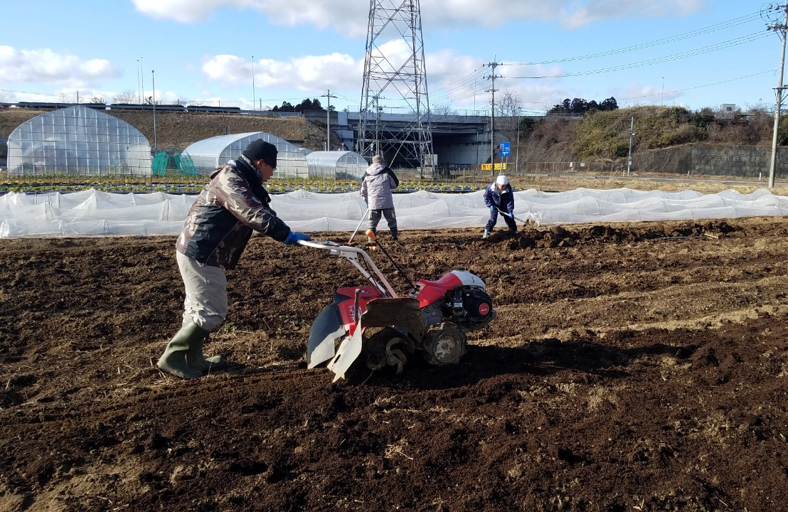 活動内容