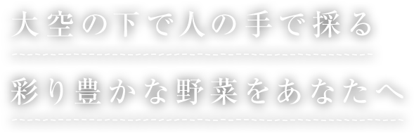 大空の下で人の手で採る 彩り豊かな野菜をあなたへ